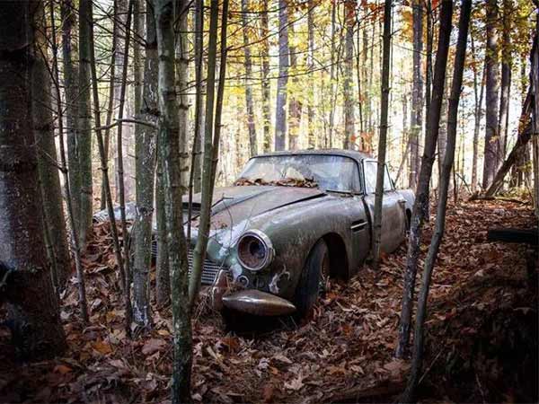 After Rotting In The Forest For Nearly 50 Years, A Classic Aston Martin DB4 Heads To The Auction