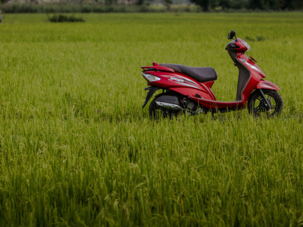 Here #Wego: Exploring Enchanting Tamil Nadu The Day Before Pongal
