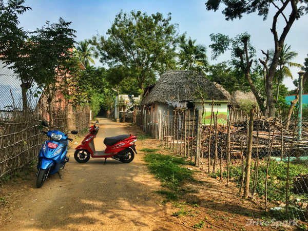 Here #Wego: Exploring Enchanting Tamil Nadu The Day Before Pongal