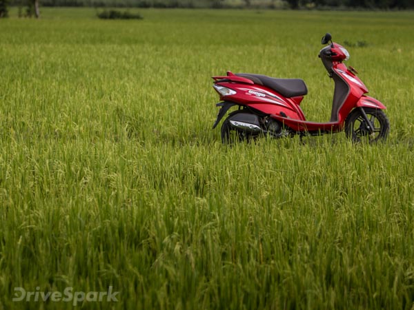 Here #Wego: Exploring Enchanting Tamil Nadu The Day Before Pongal