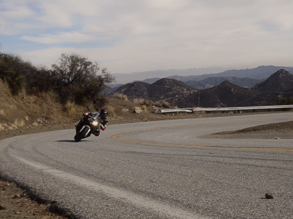 spidi brand ambassador bucky takes on mulholland highway