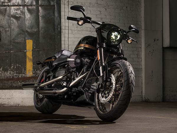 Delhi High Court Lawyer Dies On A Rented Harley-Davidson