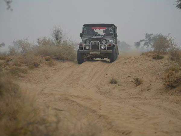 Cougar Motorsport Successfully Completes 100 Events In India