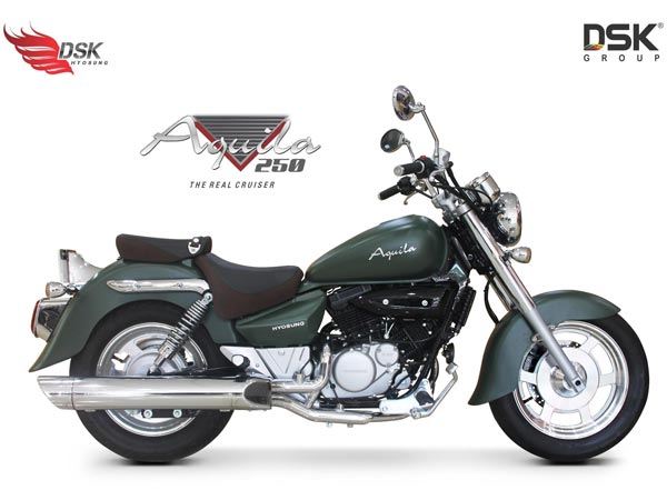 DSK Hyosung Aquila 250 Limited Edition Launched In India 
