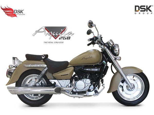 DSK Hyosung Aquila 250 Limited Edition Launched In India 