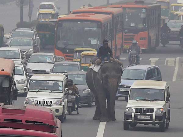Study: Delhi Bus Travellers Inhale Lower Soot Than Those In Cars