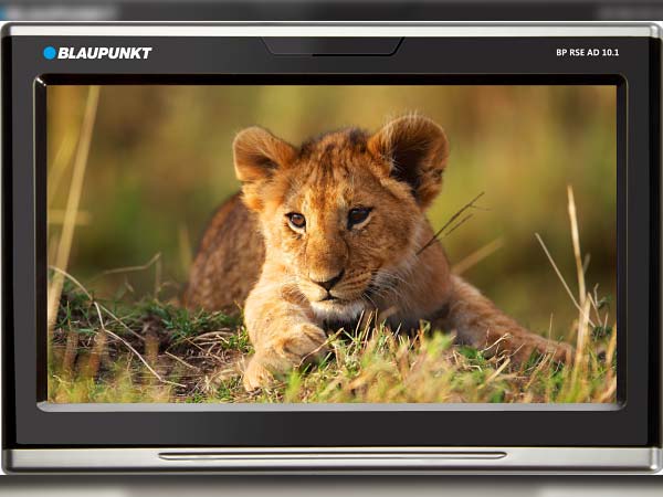 Blaupunkt Enters Rear Seat Entertainment Category