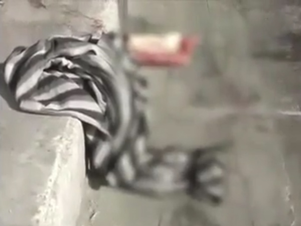 Delhi: Class 12 Student Runs Car Over Five People; 1 Dead