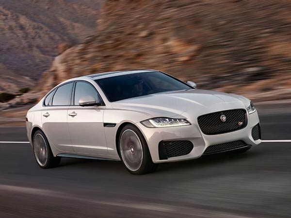 Jaguar XF Hits A Buffalo At A High Speed Crash; Result Is Devastating Jaguar XF Hits A Buffalo At A High Speed Crash; Result Is Devastating
