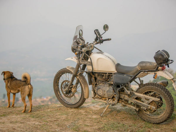 Himalayan Owner Takes Royal Enfield To Consumer Court Over 40 Manufacturing Defects 