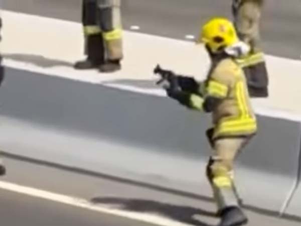 Watch Abu Dhabi Cops CLose A Highway To Rescue A Kitten