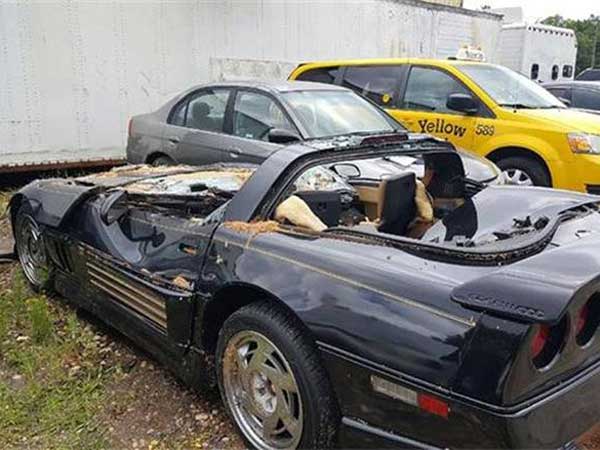 Chevrolet Corvette Crushed By A Massive Tree — Driver Escapes Uninjured