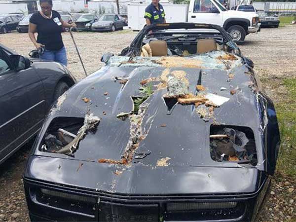 Chevrolet Corvette Crushed By A Massive Tree — Driver Escapes Uninjured