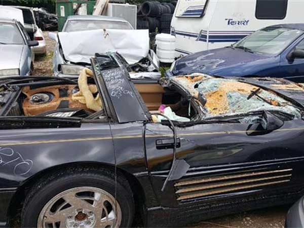 Chevrolet Corvette Crushed By A Massive Tree — Driver Escapes Uninjured