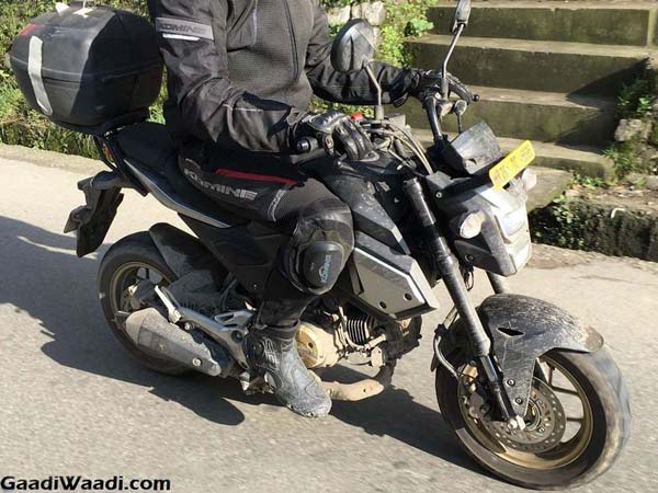 Spy Pics: Honda MSX125 (Grom) Spotted Testing In India Spy Pics: Honda MSX125 (Grom) Spotted Testing In India