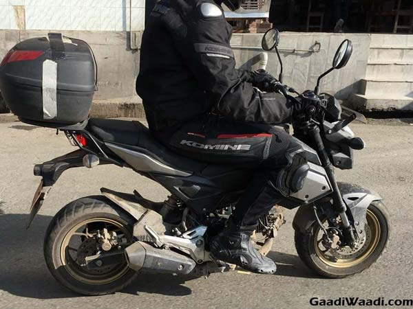 Spy Pics: Honda MSX125 (Grom) Spotted Testing In India Spy Pics: Honda MSX125 (Grom) Spotted Testing In India