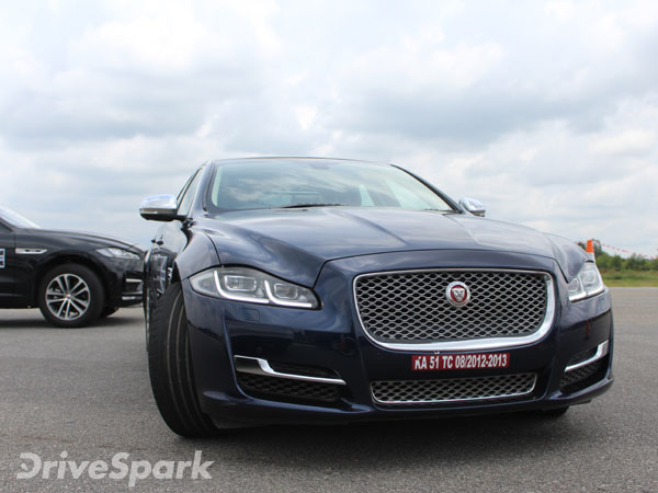 Exploring The Art Of Performance — Jungle Cats On The Prowl In The Garden City