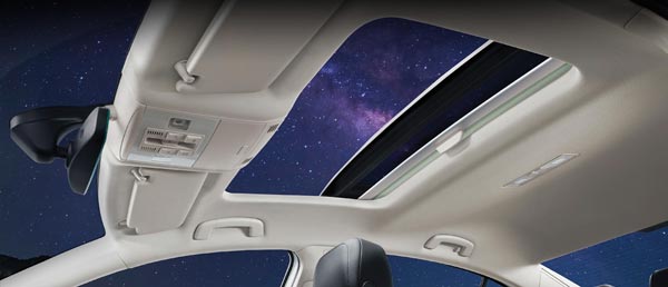 Volkswagen Passat Launched In India 