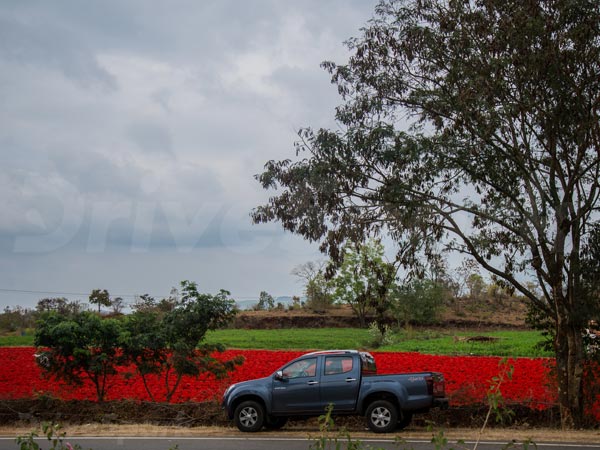 Isuzu V-Cross Facelift India Launch, Specifications, Price, Features, Images & More
