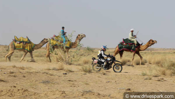 Maruti Suzuki Desert Storm 2018 Powered By ExxonMobil: Final Results