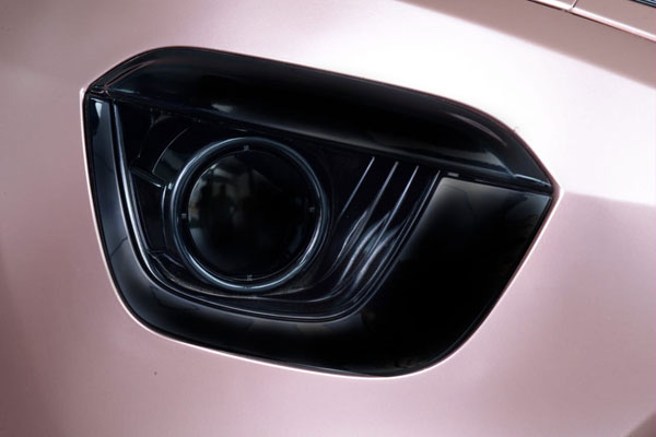 Tata Nexon Rose Gold Edition Showcased At A Dealership In Coimbatore Tata Nexon Rose Gold Edition Showcased At A Dealership In Coimbatore