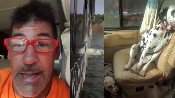 Video: Dog Accidentally Puts Vehicle Into Reverse Gear