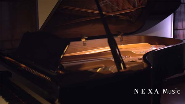 Maruti Nexa Music Contest