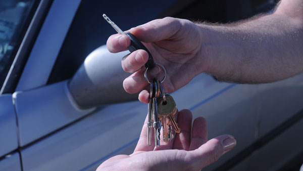 Weirdest Things Brought To Test Drives Weirdest Things Brought To Test Drives