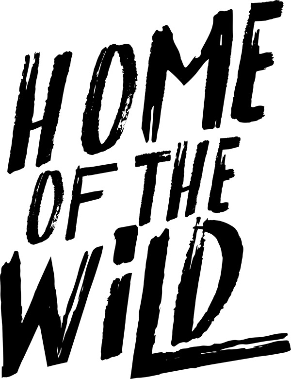 India Bike Week Returns For 2021 Special Edition India Bike Week Returns For 2021 Special Edition