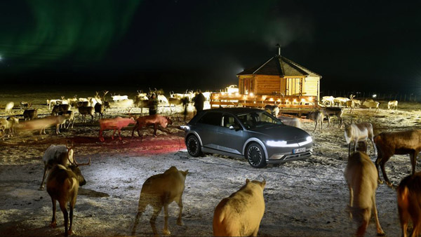 hyundai ioniq 5 reindeer farm