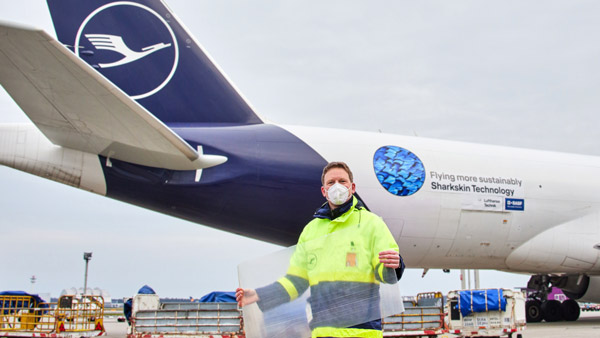 lufthansa swiss aeroshark sharksin