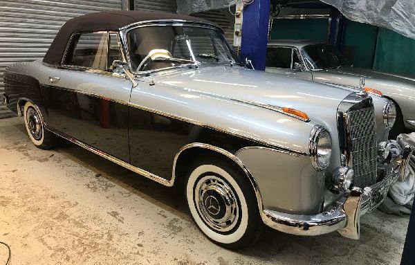 TVR Scamander Stars at Concours 2024