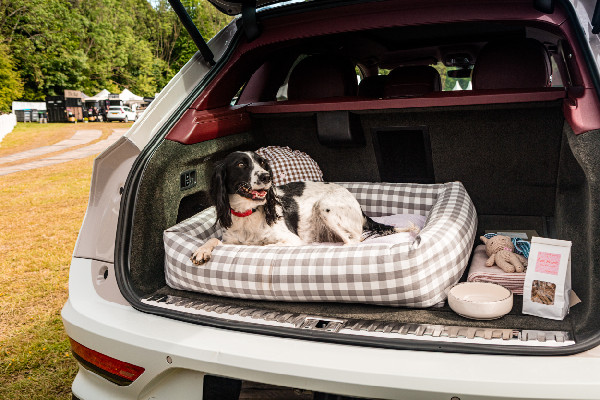 Bentley's Dog Photobooth Hits Goodwoof 2024
