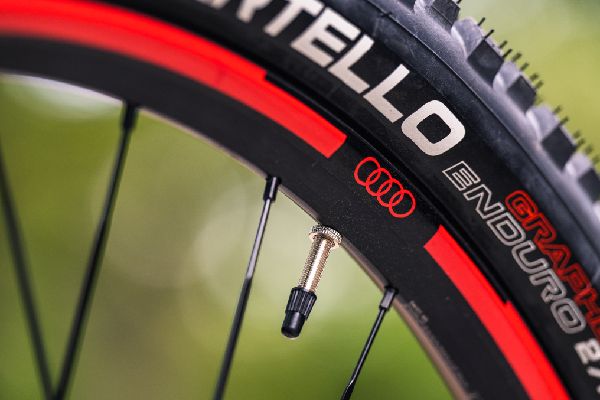 Audi's New E-Mountain Bike