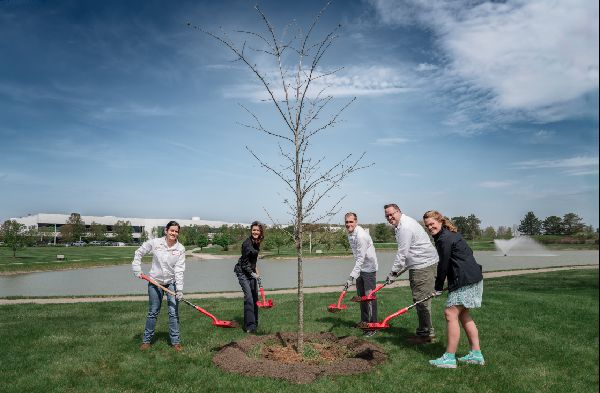 Honda Plants 85,000 Trees in Ohio