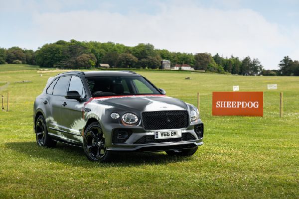 Bentley Shines at Goodwoof 2024