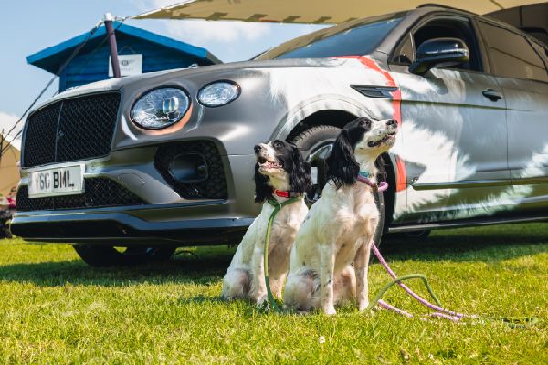 Bentley Shines at Goodwoof 2024