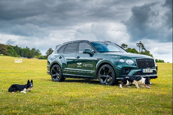 Bentley Shines at Goodwoof 2024