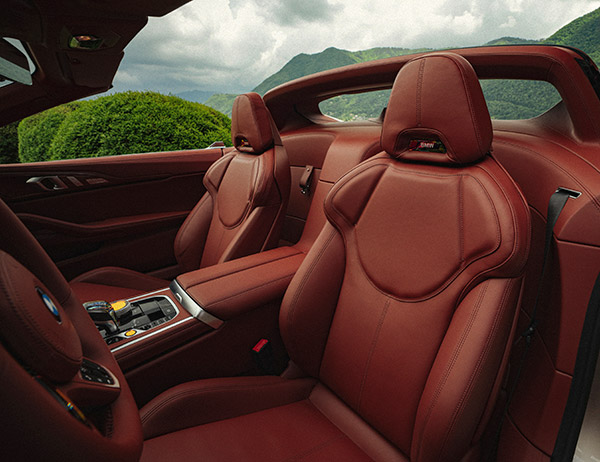 BMW Concept Skytop interior