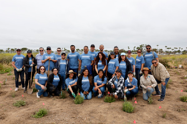 Hyundai's New 300K Tree Planting Drive