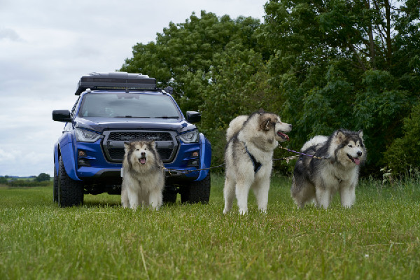 Isuzu Sponsors 2024 Sleddog Event