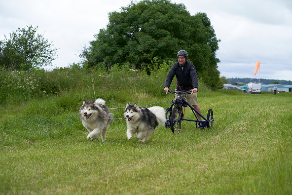 Isuzu Sponsors 2024 Sleddog Event