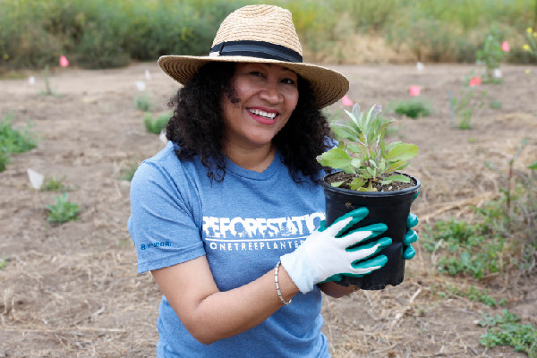 Hyundai's New 300K Tree Planting Drive