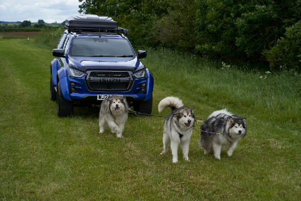 Isuzu Sponsors 2024 Sleddog Event