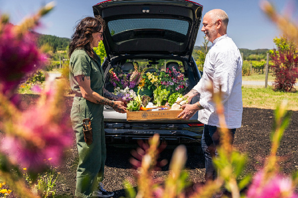 Audi and SingleThread Announce Partnership