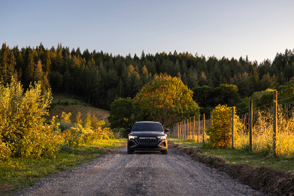 Audi and SingleThread Announce Partnership