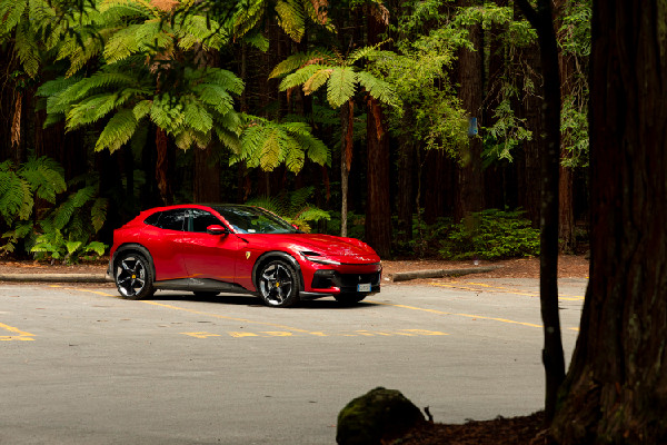 Purosangue Wins Compasso d’Oro 2024