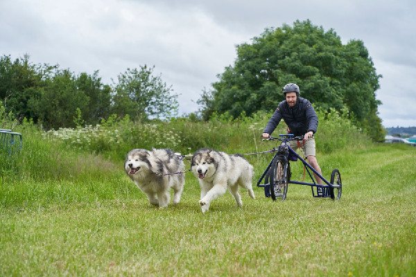 Isuzu Sponsors 2024 Sleddog Event