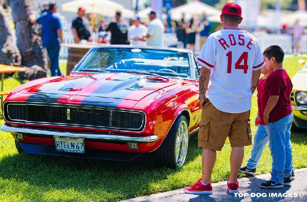 Mecum Sponsors Monterey Festival '24