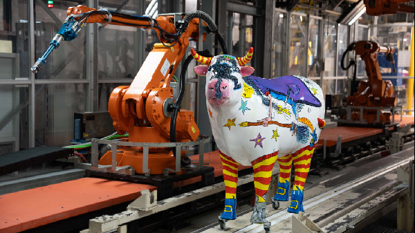 MINI Supports OxTrail 2024 Charity